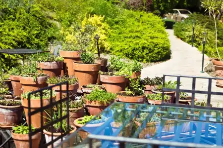 Echo Residence All Suite - 16