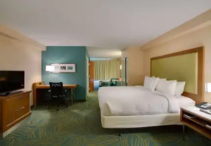 SpringHill Suites by Marriott Orlando Lake Buena Vista South - 3