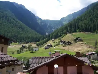 Alpen Rabbi - 20