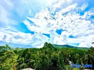 Nature Life Guest Inn - 77