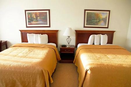 Alex and Suites - 30