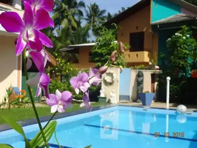 Hilda Guest House - 16
