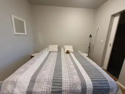 Skálatjörn Guesthouse - 69