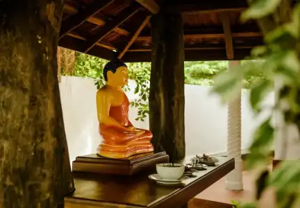 Thaulle Pure Ayurveda Resort - Yala - 20