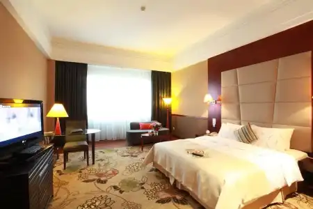 Delight Empire - 4