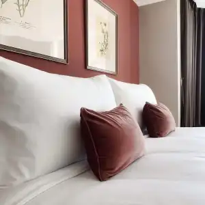 The Raintree Chiangmai - 111