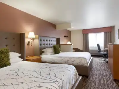 Best Western Plus Peppertree Airport Inn - 49