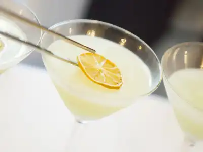 Ercilla Lopez de Haro - 10
