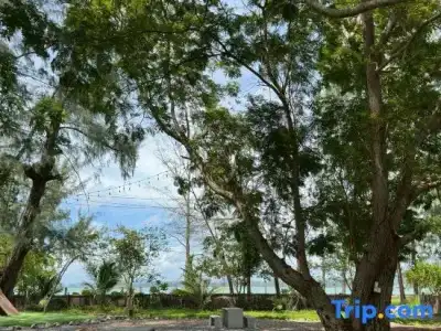 Twin Bay Resort - 119