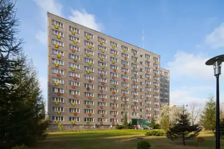 Aramis - 21