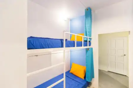 Shiralea Island Resort - 57