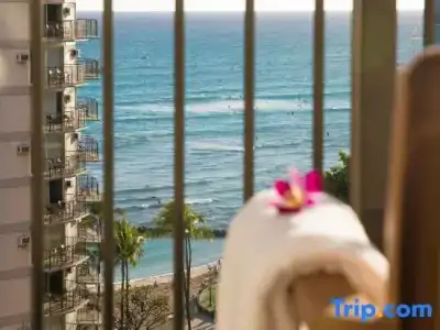 Waikiki Resort - 66