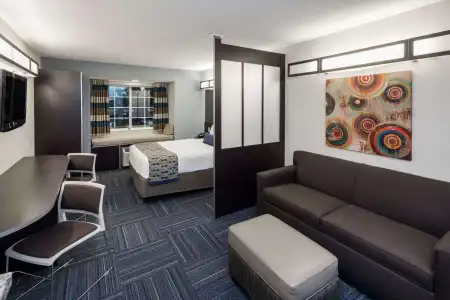 Microtel Inn & Suites by Wyndham Greenville / Woodruff Rd - 6