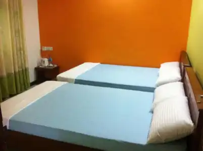 Bee Nest Bed & Breakfast - 23
