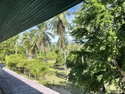 Dolphin Bay Beach Resort - 97