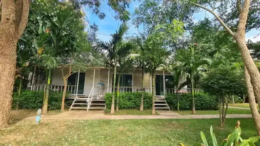 Canary Guesthouse - 34