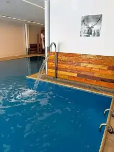 Grichting & Serviced Apartments - 62
