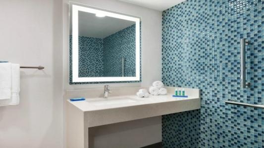 Holiday Inn Express WILLIAMSBRG BUSCH GARDENS AREA by IHG - 23