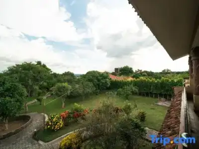 Wildlife Adventure Resort - 47