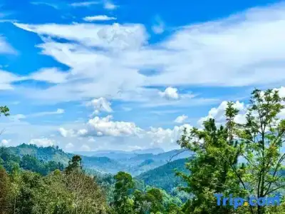Nature Life Guest Inn - 66