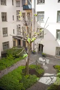 Pärlanl - 0