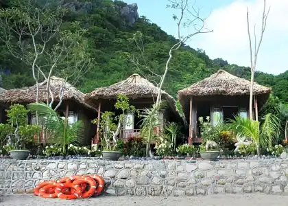 Monkey Island Resort - 74