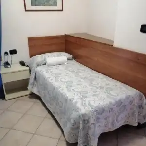 Trifoglio - 33