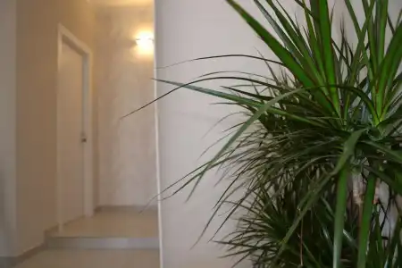 B&B Terra d'Oriente - 11