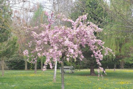 Greet Beaune - 19