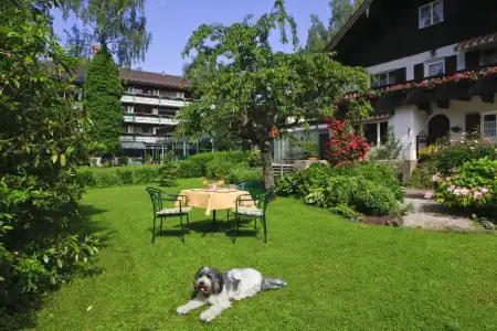 Garden Reinhart - 14