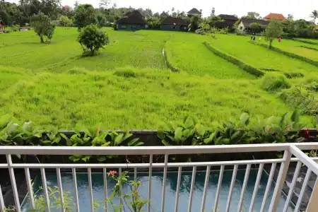 Uma Kutuh 2 - 32
