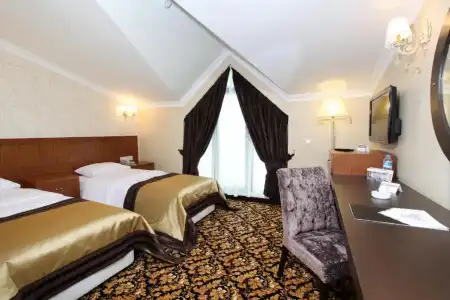 Arya Business Deluxe - 5