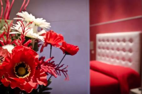 Londrino Sanremo - 36