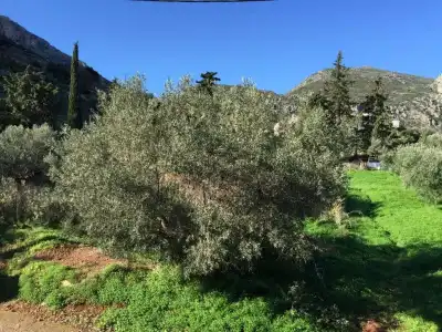 Monemvasia Green Apartments - 146