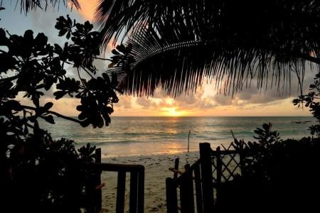 Kipepeo Lodge Zanzibar - 32