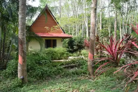Manora Garden B & B - 55