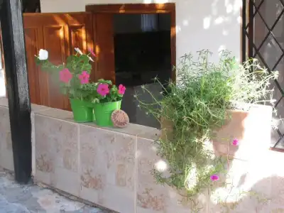 Pasha Suites - 16