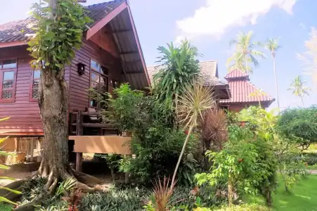 Thai House Beach Resort - 148