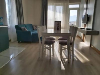 Citrus Luna Suite - 25