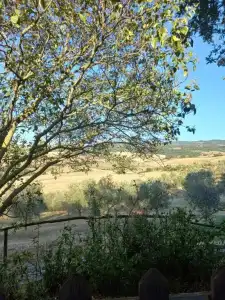 Agriturismo Podere Cherzo - 12