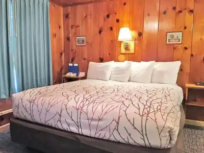Park Motel and Cabins - 158
