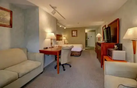 Senator Inn & Spa - 96