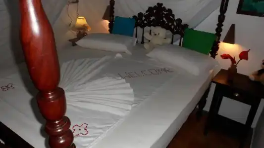 Morning Star Guest House - 29