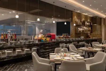 Radisson Mumbai Andheri MIDC - 15