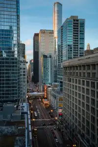 Staypineapple, An Iconic, The Loop - 36