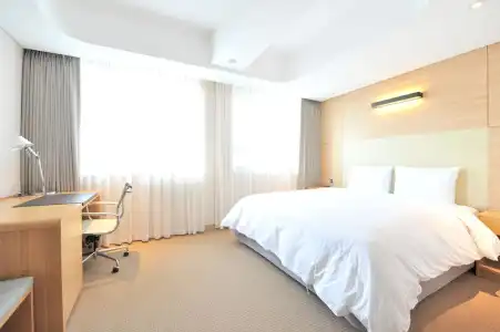 Acube - 81