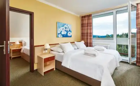 Orea Resort Sklář Harrachov - 24