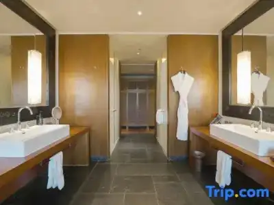 The St. Regis Lhasa Resort - 88