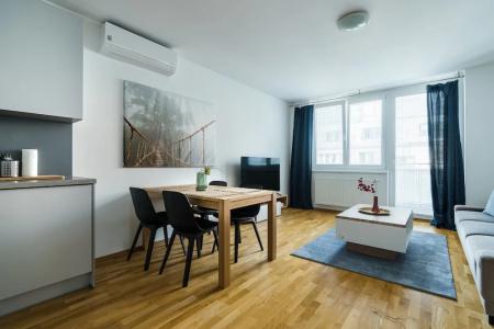 Business & Family Ambiente Apartments - 122