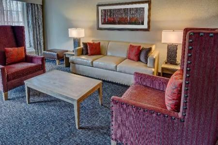 Black Fox Lodge Pigeon Forge, Tapestry Collection by Hilton - 83